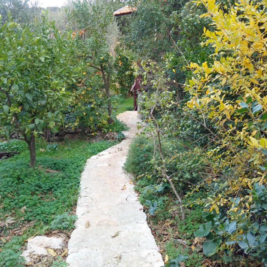 Amirim Atmosphere Exterior foto